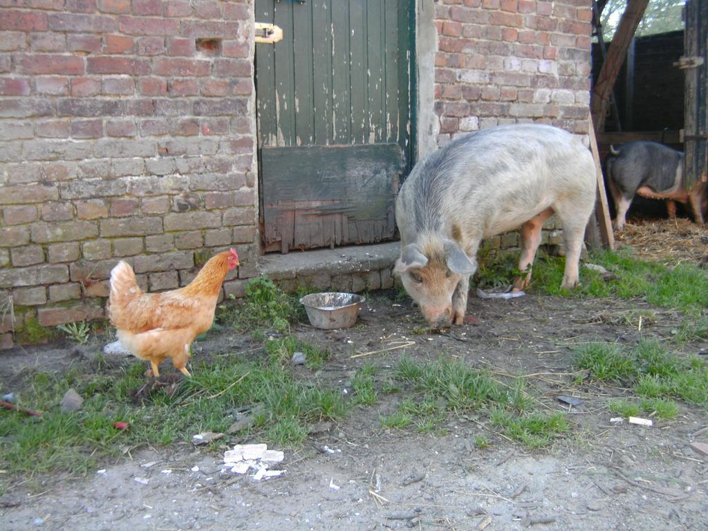 Farm Stay Luythoeve Meeuwen Extérieur photo